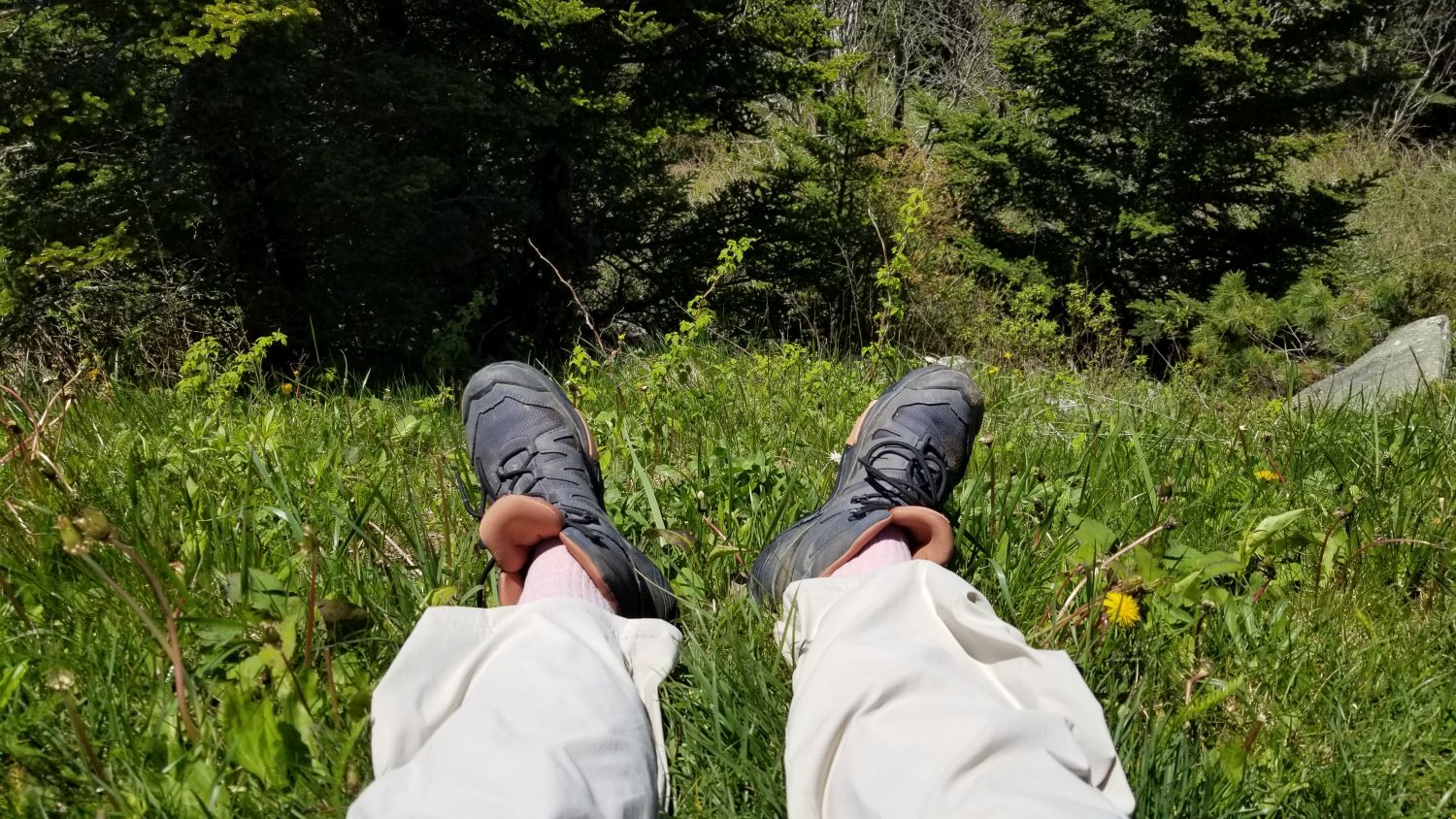 Clingmans's Dome Parking Lot 